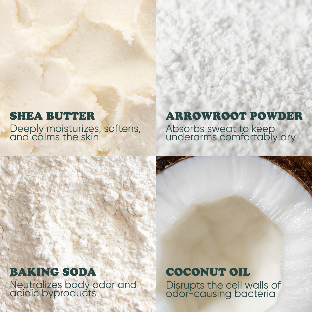 Key ingredients in Pretty Frank extra strength deodorant: shea butter, arrowroot powder, baking soda, and coconut oil