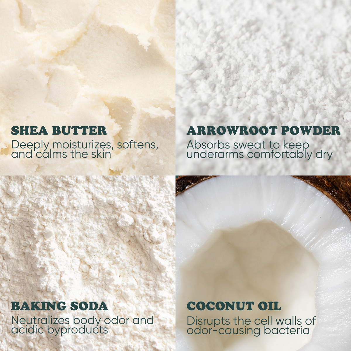 Key ingredients in Pretty Frank extra strength deodorant: shea butter, arrowroot powder, baking soda, and coconut oil